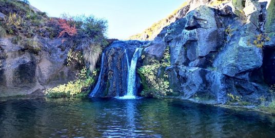 HERMOSO FUNDO EN CURICO CON EXTENSA VEGETACION RIOS, CASCADAS Y MAS