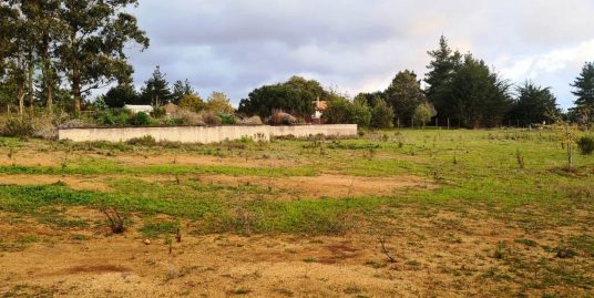 Excelente Parcela plana lista para construir en Algarrobo.