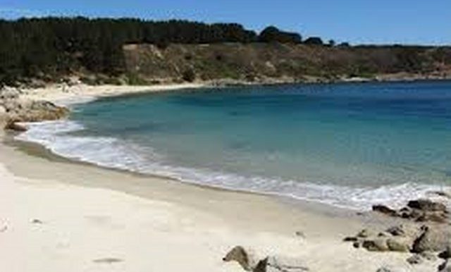 Playa Canelo- Canelillo